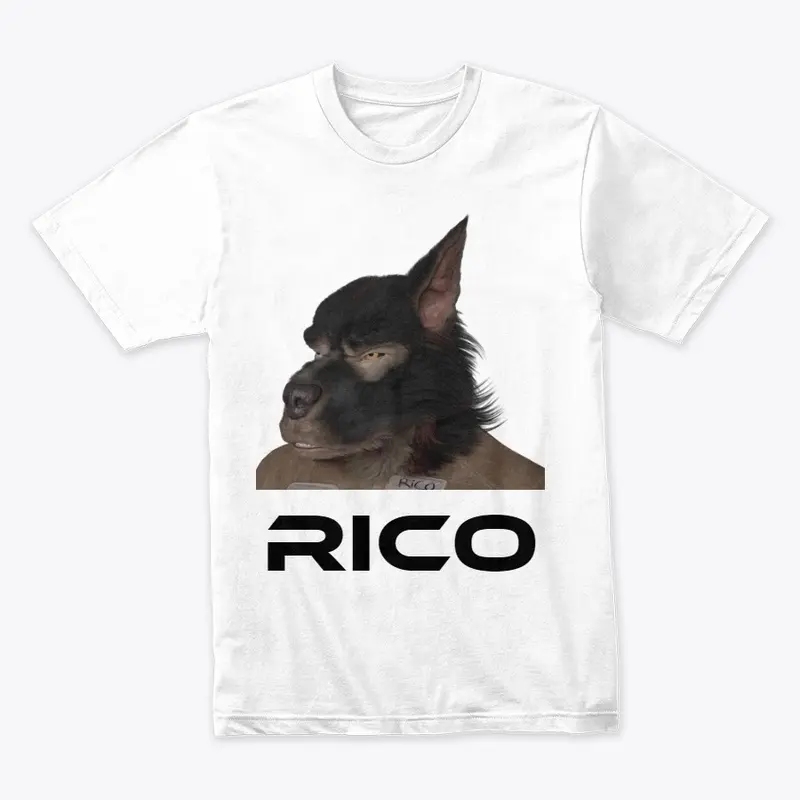 Shirts - Rico